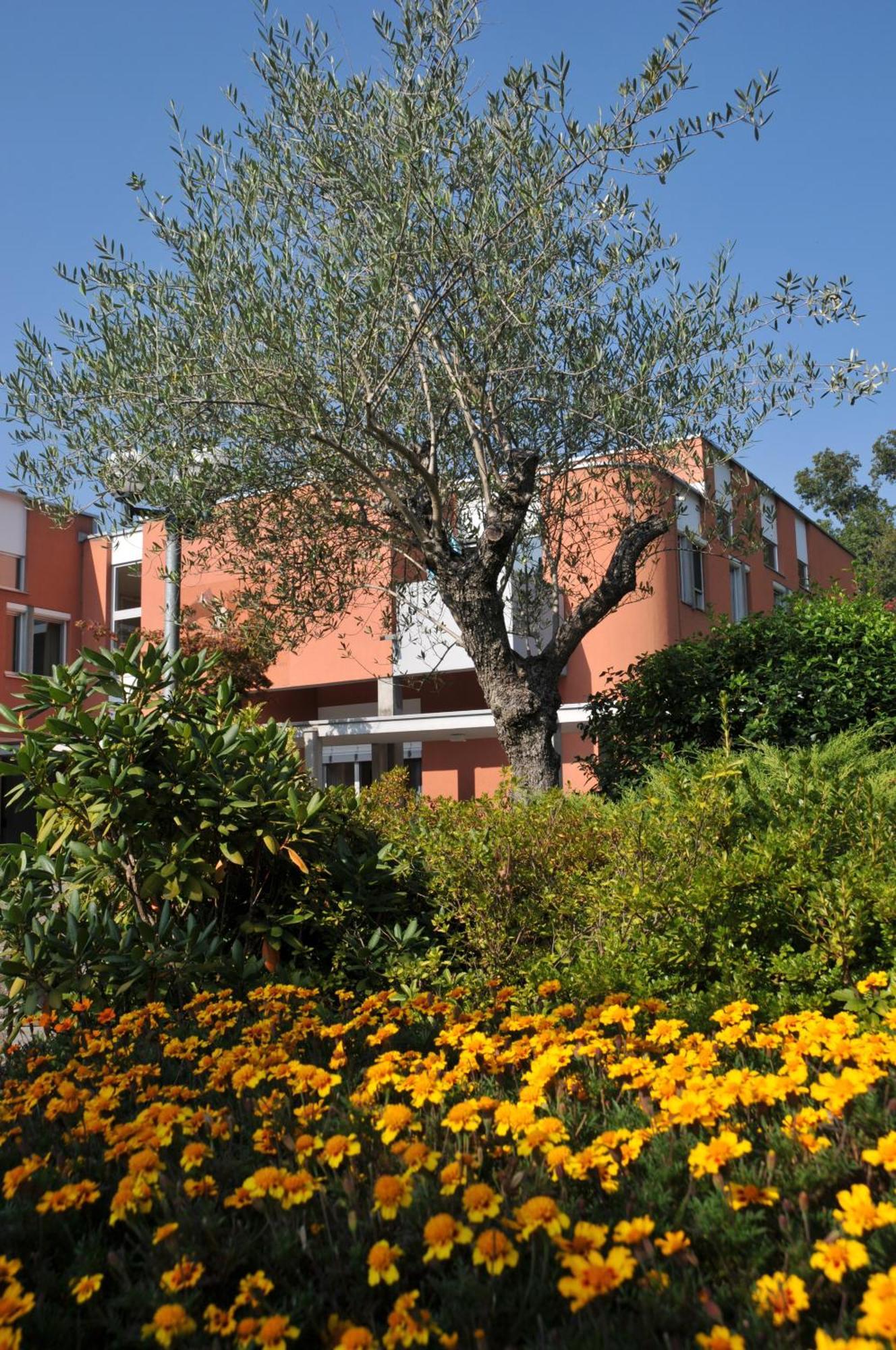 Centro Magliaso Hotel Buitenkant foto